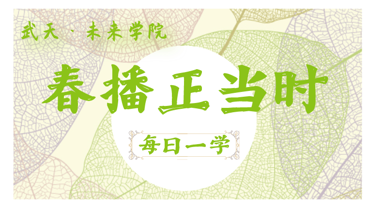 1594101313455081678.jpeg 專題頁.jpeg